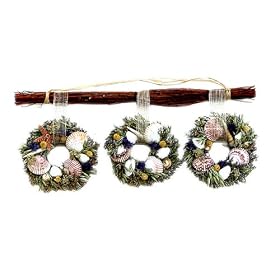 Foam of the Sea Shell Trio Wreath by Smith & Hawken