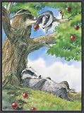 Afternoon Nap Framed Canvas Art by Cliff Wright,12.3 in. x 16.6 in. Framed