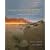 Environmental Ethics: Readings in Theory and Application