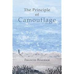 The Principle of Camouflage