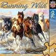 MASTERPIECES 750 PC PUZZLE MORNING RUN
