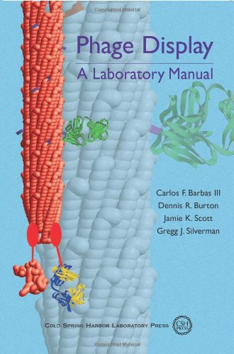 phage display a laboratory manual