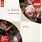 My Favorite Recordings of Bach Sonatas and Partitas for Solo Violin