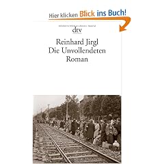 Die Unvollendeten: Roman