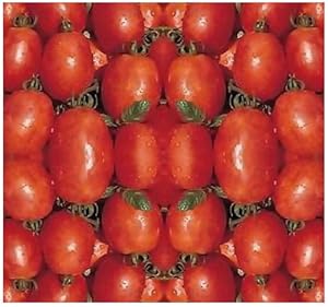 Amazon.com: 50 RIO GRANDE Tomato seeds