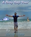 A Grey Gap Year