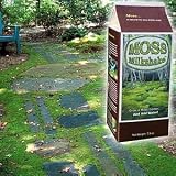 Moss Milkshake