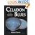 Celadon Blues: Re-create Ancient Chinese Celadon Glazes