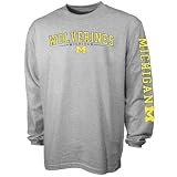 Michigan Wolverines Ash Standard Long Sleeve T-shirt
