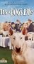 It's a Dog's Life [VHS]