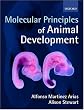 Molecular Principles of Animal Development