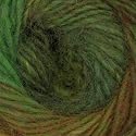 Lion Brand Amazing Yarn (202) Rainforest By The Each