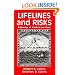 Lifelines and Risks: Pathways of Youth in our Time