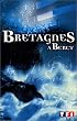 Bretagnes � Bercy : Le concert 99