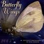 Butterfly Wings, 2007 Calendar