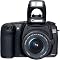 Photographer on-the-go!