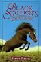 The Black Stallion's Steeplechaser