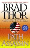 Path of the Assassin