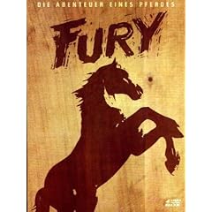 Fury (4 DVDs, WoodPak, ltd. Edition) [Limited Collector's Edition]
