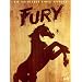 Fury (4 DVDs, WoodPak, ltd. Edition) [Limited Collector's Edition]