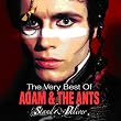 The Very Best of Adam & the Ants: Stand and Deliver