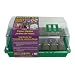 Kitchen & Housewares : Buzzy Complete Flower Seed Starter Kit