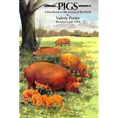 Pigs: A Handbook to the Breeds of the World