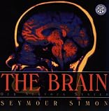The Brain: Our Nervous System (Mulberry Books)