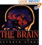 The Brain (Mulberry Books)