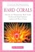 Hard Corals (Creating the Reef Environment) by Jim Fatherree
