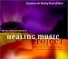 The Healing Music Project: A Collection of the World's Foremost Sound Healers