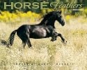 Horse Feathers with Breed Bits 2007 Calendar