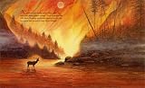 Fire Storm