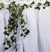 Ivy Vine Garland