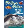 Feline Frolics [DVD] [2005] <b>DVD</b> ~ Feline Frolics