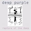 Rapture of the Deep (digipak) Rapture of the Deep (digipak)