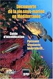 Découverte de la vie sous-marine en Méditerranée : Guide didentification