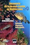 D�couverte de la vie sous-marine en M...