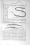 NATURAL HISTORY 1896 VINEGAR-EEL THREAD-WORMS HUMBLE