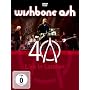 40th Anniversary Concert - Live In London <b>DVD</b> ~ Wishbone Ash