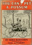 You Cant Pet a Possum