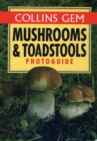 Mushroom