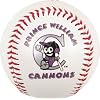 Potomac Cannons Minor League Baseball Fotoball