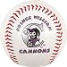 Potomac Cannons Minor League Baseball Fotoball
