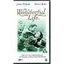 It's A Wonderful Life [VHS] [1946]