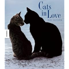 Cats in Love