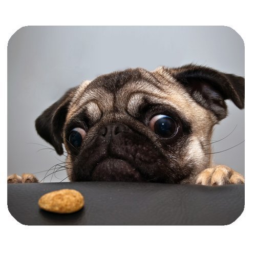 1 X Pug Dog Customized Rectangle Mousepad Brand New Mouse Pad Pad393