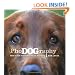 Phodography: How to get Great Pictures of your Dog
