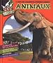 Records des animaux