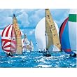 Springbok "Sailboats" 500 Piece Jigsaw Puzzle